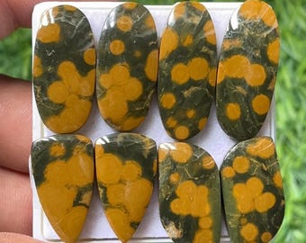 Natural Ocean Jasper Cabochon Pairs, Mixed Shape (22-28mm)