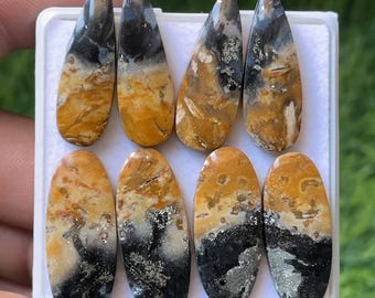 Natural Palm Root Agate Cabochons - Mix Shape Gemstone Pairs (25-28mm)