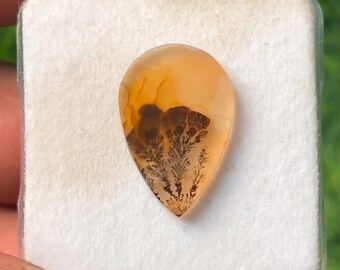 Natural Dendritic Agate Pear Cabochon Flat Gemstone Slice 20x13x2mm