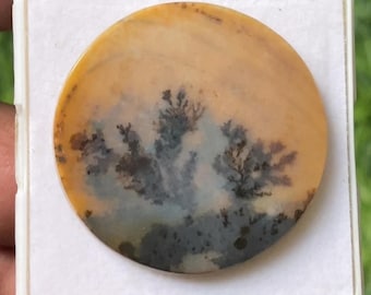 Natural Dendritic Agate Round Cabochon Flat Gemstone 33mm Loose Stone
