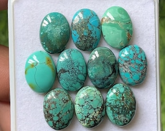 May include: Ten oval-shaped turquoise stones in a white box. The stones are various shades of blue and green with brown and black markings.