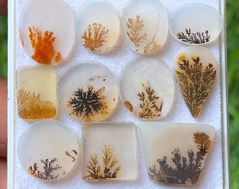 Cabujones de ágata dendrítica natural de formas variadas, láminas de piedras preciosas con motivos paisajísticos de 12 a 17 mm.