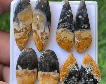 Palm Root Agate Cabochons Pairs, Mix Shape Gemstones (19-34mm)