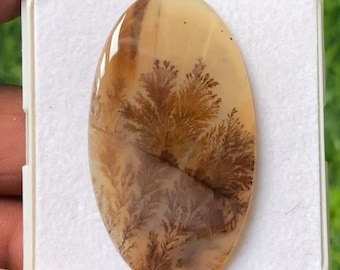 Natural Dendritic Agate Oval Cabochon Slice Gemstone 49x27x4mm Jewelry