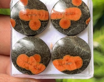 Peanut Obsidian Cabochon Pair, Round Gemstones (16X16mm)