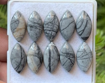 Op de afbeelding: Tien grijze edelsteen cabochons met zwarte adering worden getoond in een witte tray. De ovaalvormige stenen hebben een gepolijste, glanzende afwerking. De edelstenen zijn gerangschikt in twee rijen van vijf, waarbij hun unieke patronen en kleuren worden getoond.