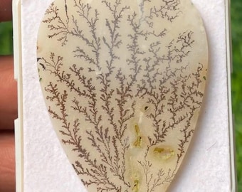 Natural Dendritic Agate Pear Cabochon Loose Gemstone Slice 57x39x2mm