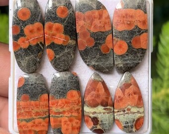 Natural Peanut Obsidian Cabochon Pairs, Loose Gemstones (21-27mm)