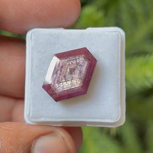 May include: A faceted, reddish-pink gemstone with a complex internal structure, set in a white plastic container. The gem has a geometric shape with multiple facets, reflecting light. The background is blurred green foliage.