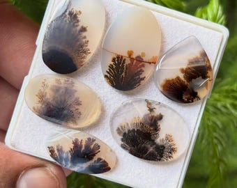 Dendritic Agate Scenic Agate Cabochons Mixed Shapes 18-23mm 7 Piece Lot