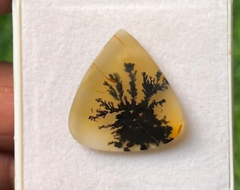Natural Dendritic Agate Pear Cabochon Flat Gemstone Slice 23x21x4mm