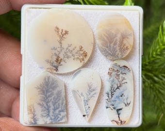 Dendritic Agate Scenic Agate Cabochons Mixed Shapes 19-26mm 5 Piece Lot