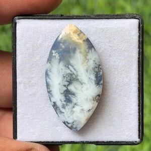 May include: A dendritic agate gemstone in a marquise shape, displayed in a black plastic case. The stone features a pattern of white, fern-like inclusions against a backdrop of blue and tan hues. The stone is approximately 2 inches long.