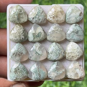 Unique Top Grade Quality 100 % Natural Moss Agate Trillion Shape Smooth cabochon Loose Gemstones Lot For Making Jewelr 12*12mm
