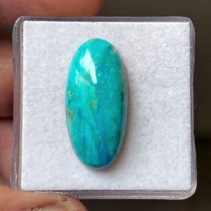 May include: An oval-shaped cabochon gemstone featuring a vibrant turquoise and teal color palette with subtle green and blue mottled patterns throughout the polished surface, displayed inside a square white foam-lined plastic storage container.