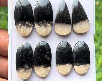 Palm Root Agate Cabochons - Mix Shape Gemstone Pairs (22-25mm)