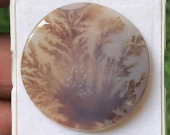 Natural Dendritic Agate Round Cabochon Slice 34x34x5mm Loose Gemstone