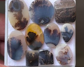 Cabujones de ágata paisajística dendrítica natural, láminas de piedras preciosas de formas variadas de 11 a 30 mm