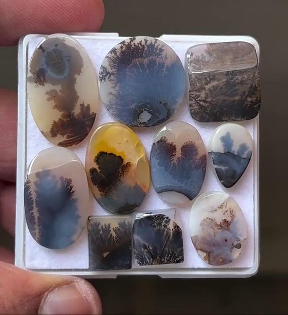 Natural Dendritic Scenic Agate Cabochons Mixed Shape Gemstone Slices 11-30mm