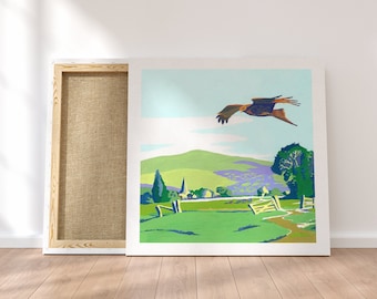 Red Kite in the Chilterns