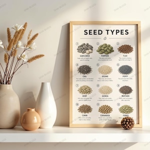 Peut inclure: Une affiche encadrée intitulée "SEED TYPES" présente des illustrations de graines variées, dont le tournesol, la citrouille et le lin. L'affiche est dans un cadre en bois clair et est exposée sur une étagère blanche avec des vases décoratifs et une composition florale séchée.