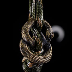 May include: A coiled snake figurine with textured, metallic bronze-coloured scales and an open mouth, intricately wrapped around a thick, woven paracord rope featuring a camouflage pattern of olive green, black, brown, and white threads.