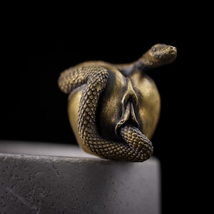 Puede incluir: Una pequeña figura de latón de estilo antiguo que representa una serpiente enroscada firmemente alrededor de una fruta lisa y redondeada. La superficie metálica presenta una pátina oscura y desgastada con escamas detalladas en el cuerpo.
