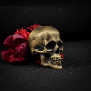 May include: A detailed, bronze-colored skull figurine with visible teeth rests beside a deep red, flower-like arrangement. The skull is positioned on a dark, textured surface, creating a striking contrast. The overall aesthetic suggests a gothic or macabre theme.