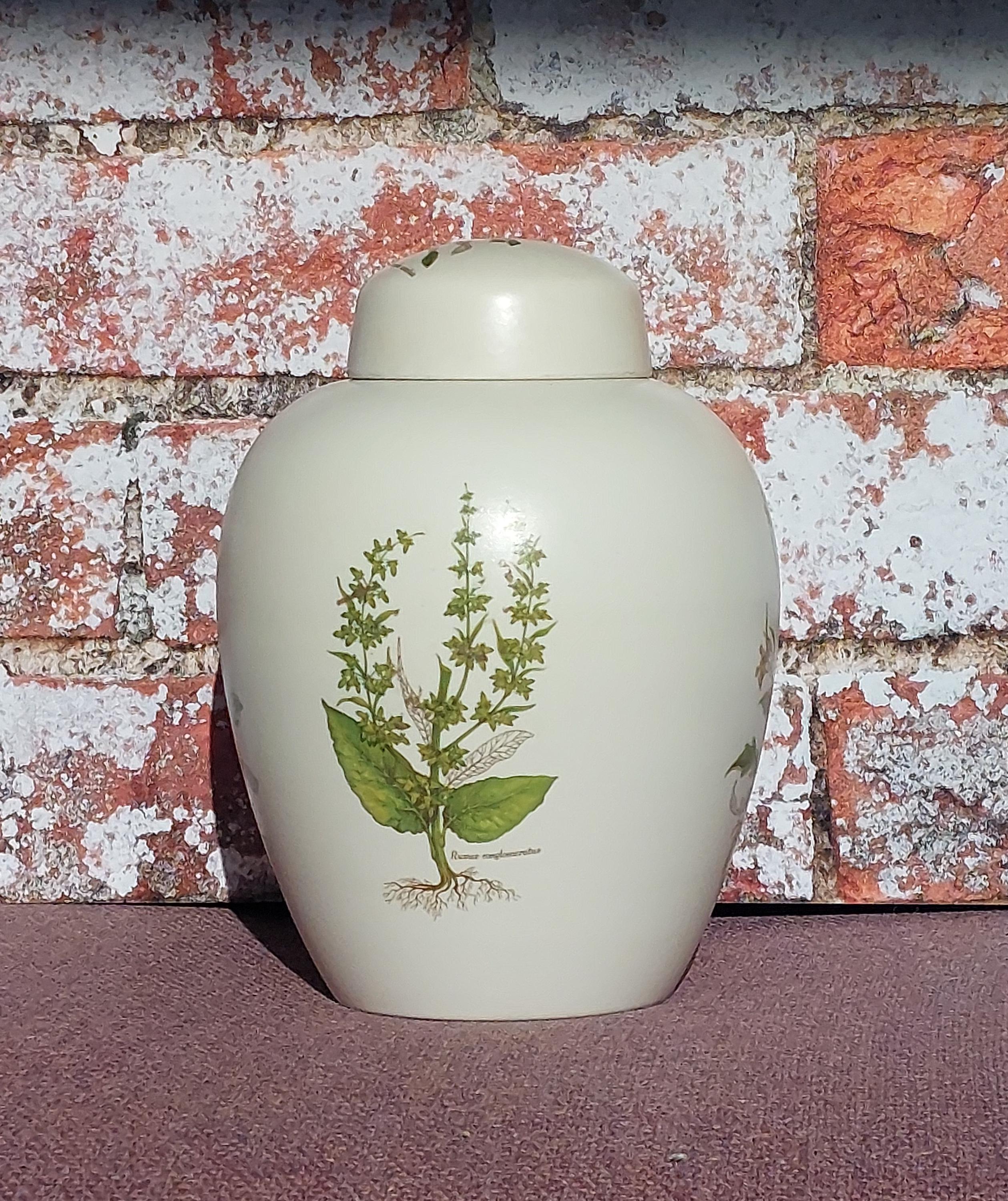 【中古】 American Indian Christmas JanaMashonee 51X2YHHZ36L._UF1000,1000_QL80_.jpg