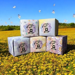 Crochet Mystery Minis Box | Fun Surpise Mystery Box Amigurumi Plushy Crochet