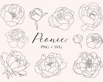Peony Flowers SVG PNG Bundle, Hand Drawn Flowers, Flower Clipart