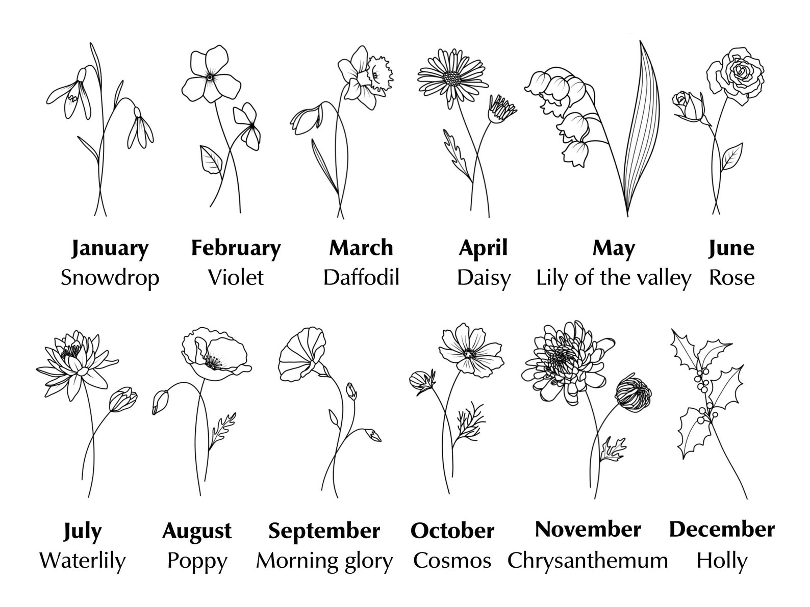 Birth Month Flowers Svg Png Bundle Hand Drawn Flowers Etsy