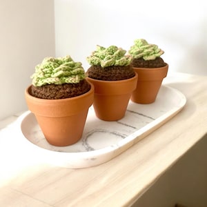 Suculenta/cactus amigurumi hecho a mano: adorable planta de crochet para decorar el hogar y la oficina.