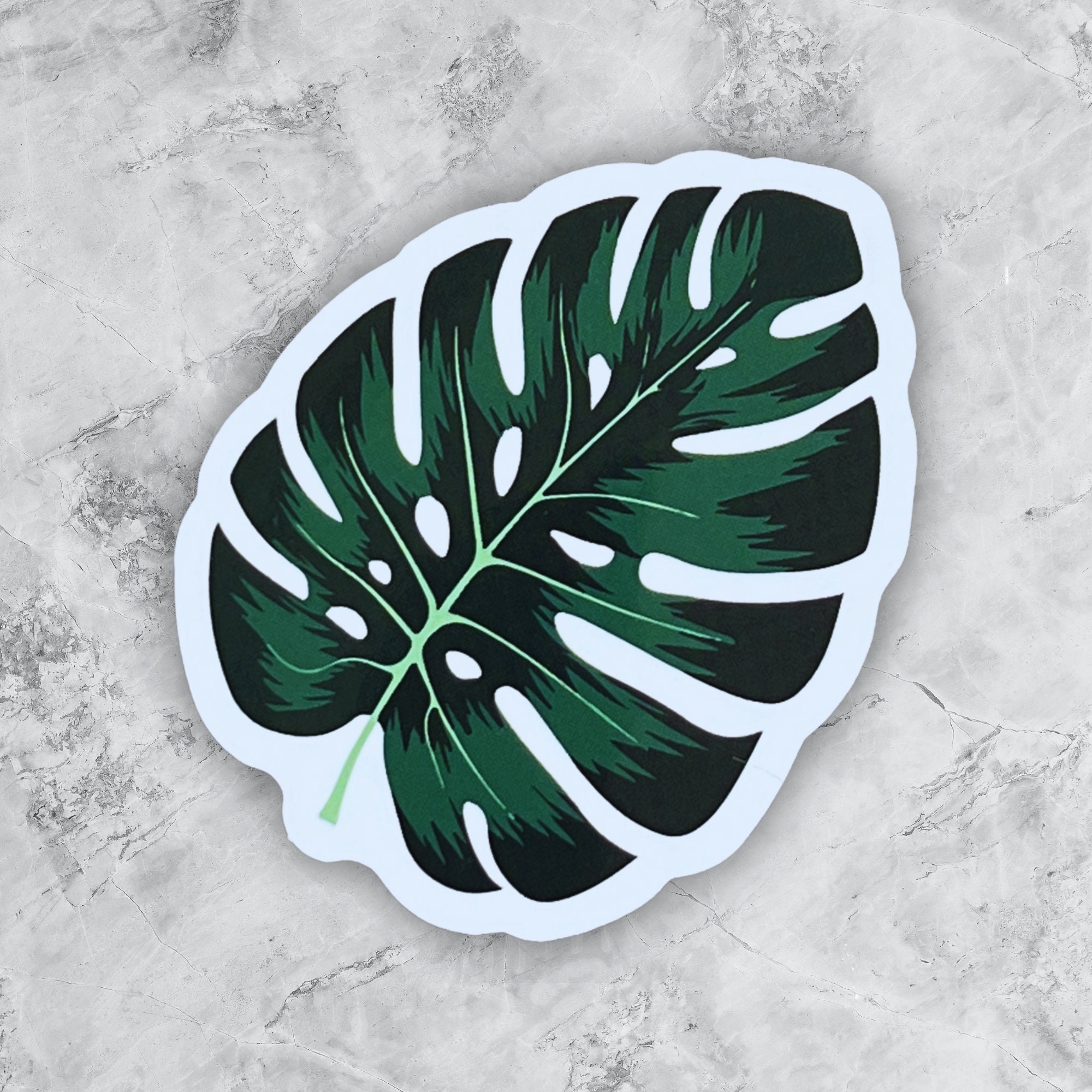 Monstera Sticker | Plant Sticker | Nature Decal | Leaf Sticker | Plant ...