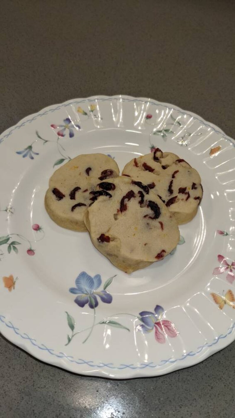 May include: Three round, light brown cookies with red cranberries on a white plate with a floral design.
