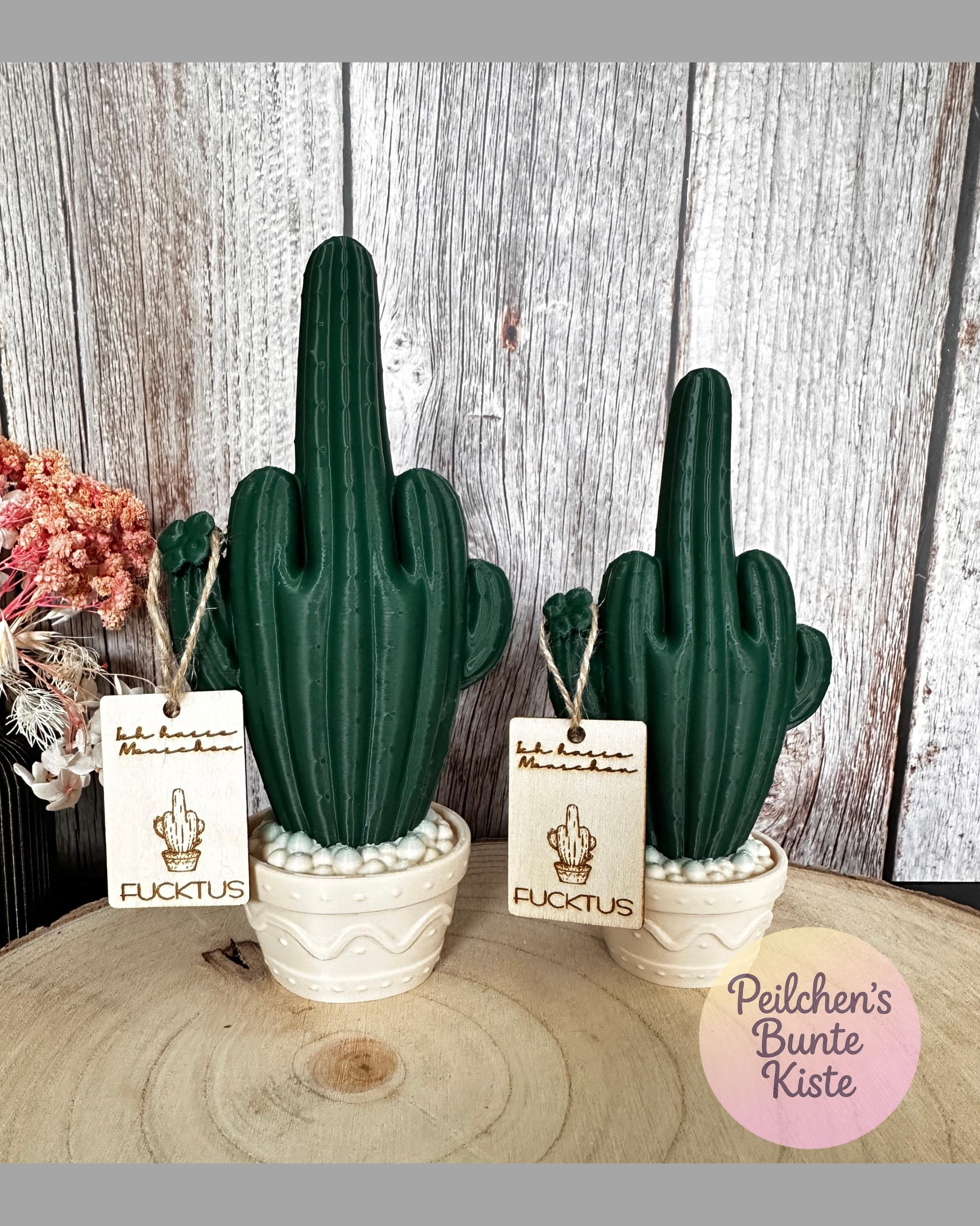 Lustige kaktus geschenk - Etsy.de