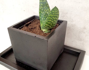 Flower pot 12 cm made of concrete in black, planter, planter