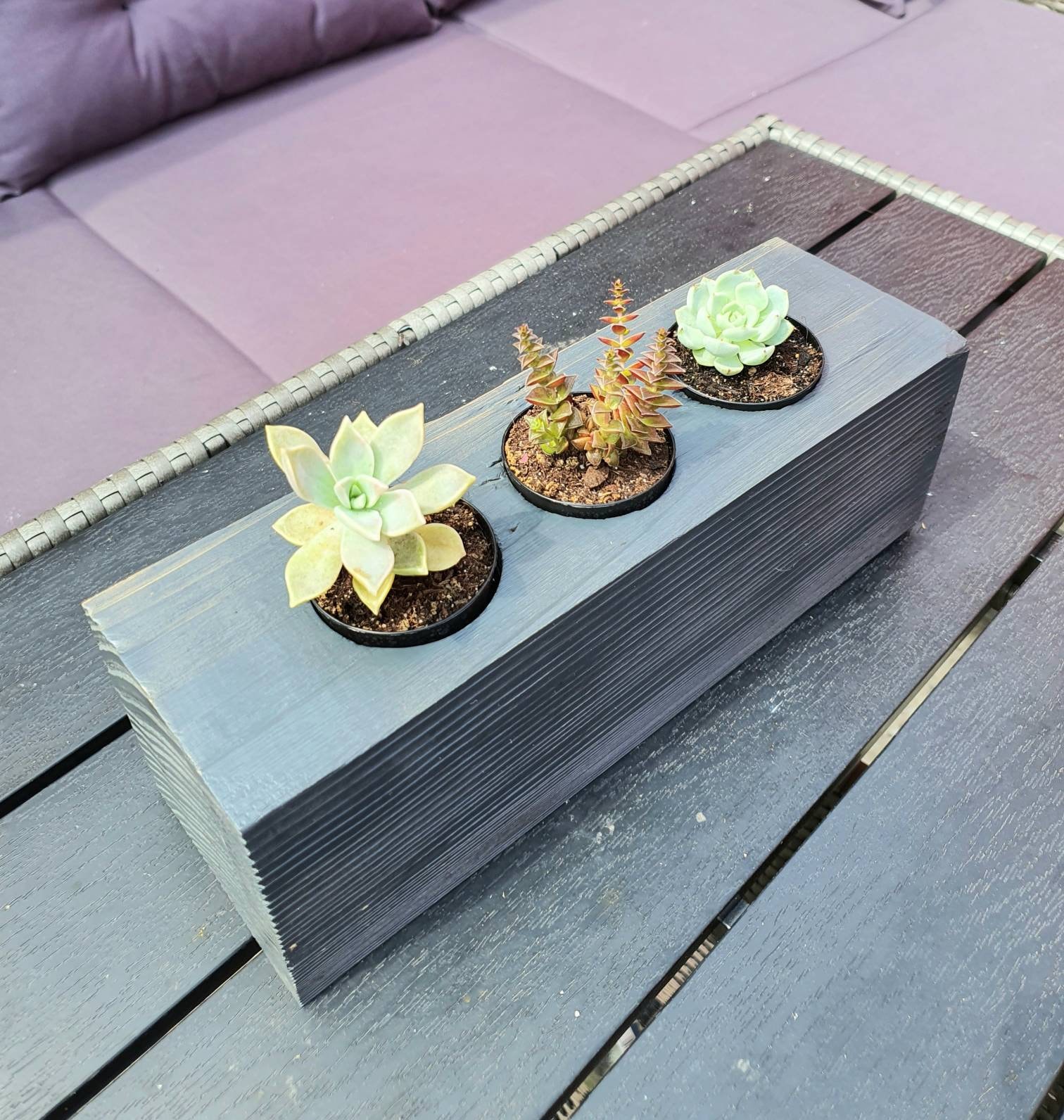 Maceta para suculentas de madera incluyendo 3 plantas en Etsy