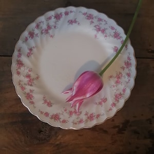 Vintage MYOTT's Bride's Bouquet Plate, Luncheon Plate, Pink Roses Gold Rim, England ~ 1960's