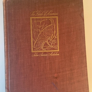 The Birds of America by John James Audubon 1941 Illustrated Vintage Ornithology