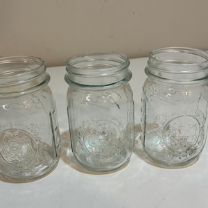 Vintage Ball Mason Canning Jars Sculptured Glass Fruit Design Pint - Set of 3