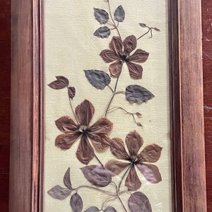 Vintage Pressed Flowers Artwork Botanical Clematis On Linen Antique Wood Frame
