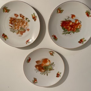 Decorative Fruit Plates 7&quot; Schumann Bavaria Arzberg Germany Salad Dessert Set Of 3