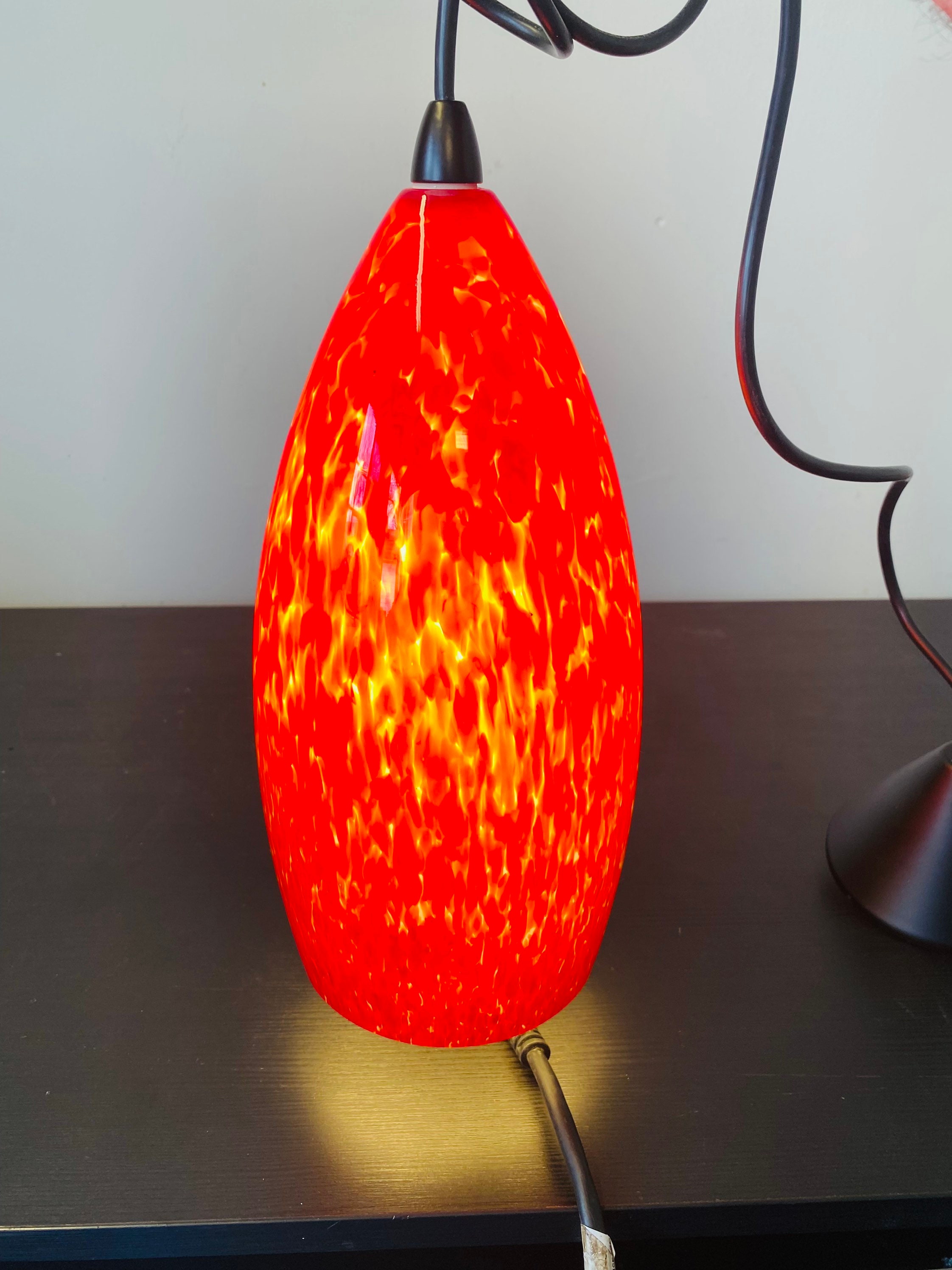 tortoise light fixture