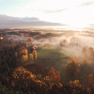 Autumn in Sweden, Minimalist Landscape Prints, Aerial Art, Arial Poster, Wall Art, Wall Decor, nordische Landschaft, nordic Trees