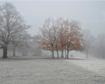 Nothing Compares Framed Print- Winter scene of trees and walkers