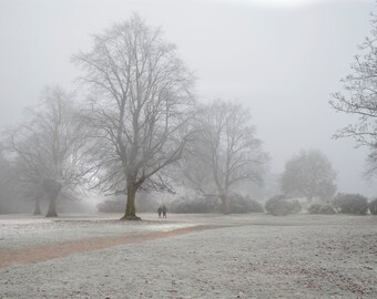 In the Morning Framed Print