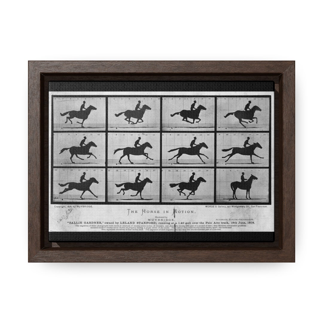 The Horse in Motion Gallery Canvas Wraps Photo/cinema/history/art/card
