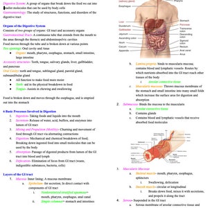Digestive System- Anatomy and Physiology- Nursing School Prerequisite