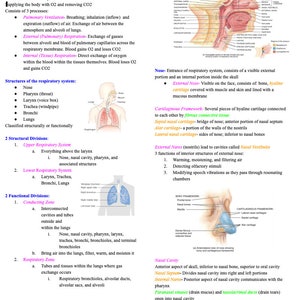 Respiratory System Notes- Anatomy and Physiology- Nursing School Prerequisite